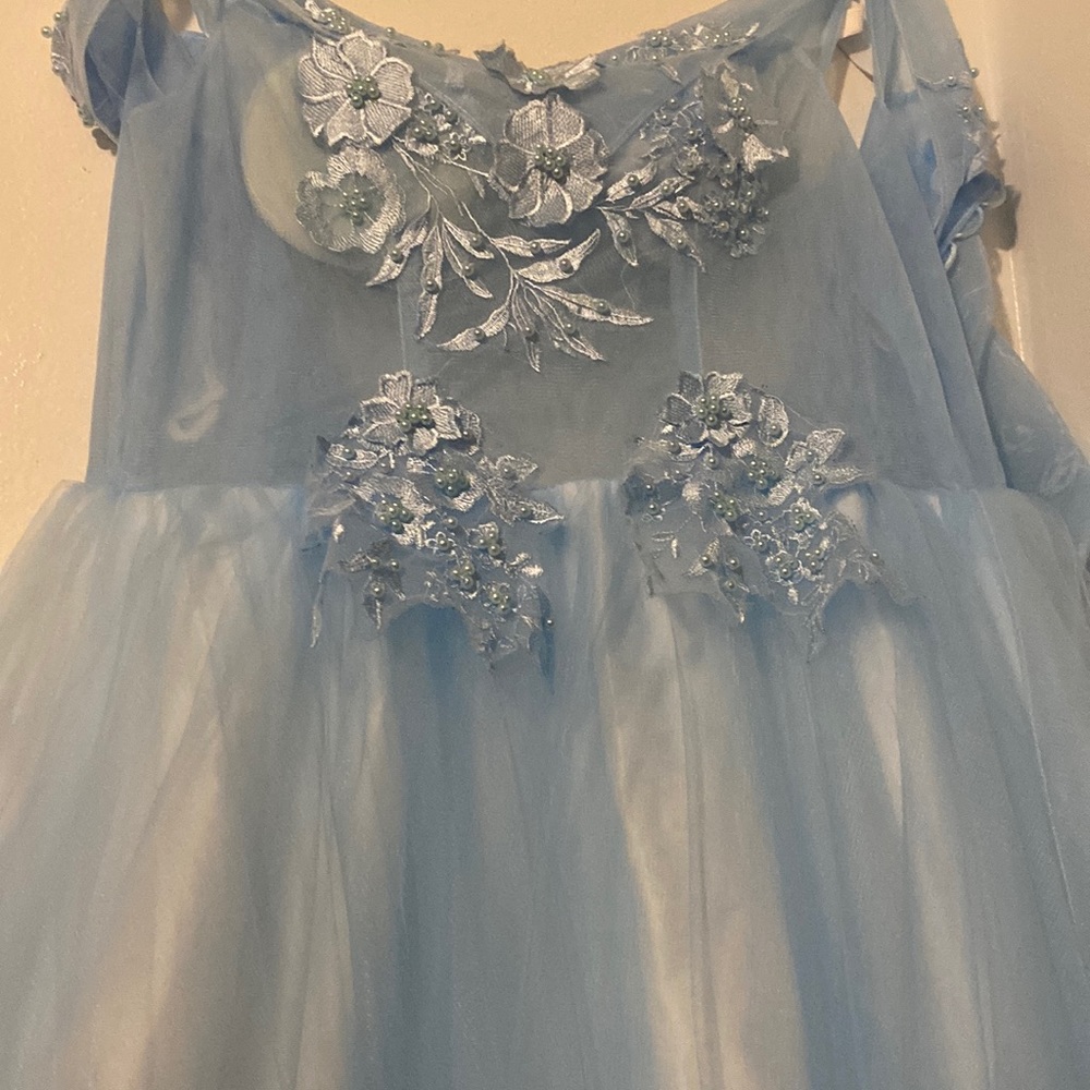 Blue Princess Gown